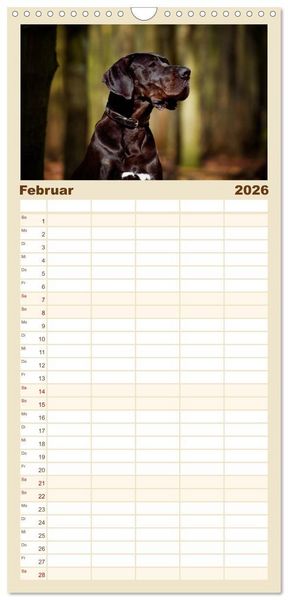 Produktbild: Familienplaner 2026 - Deutsche Doggen / Geburtstagskalender mit 5 Spalten (Wandkalender, 21 x 45 cm) CALVENDO
