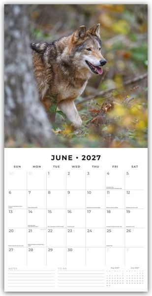 Produktbild: Wolves &ndash; W&ouml;lfe 2027 &ndash; 16-Monatskalender