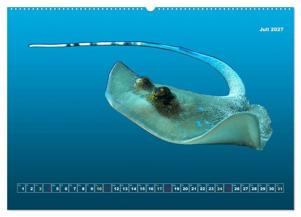 Produktbild: Unterwasser-Galerie (hochwertiger Premium Wandkalender 2027 DIN A2 quer), Kunstdruck in Hochglanz