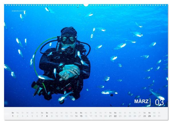 Produktbild: Einfach Tauchen - Wunderbare Tauchpl&auml;tze und Korallenriffe (Wandkalender 2026 DIN A2 quer), CALVENDO Monatskalender