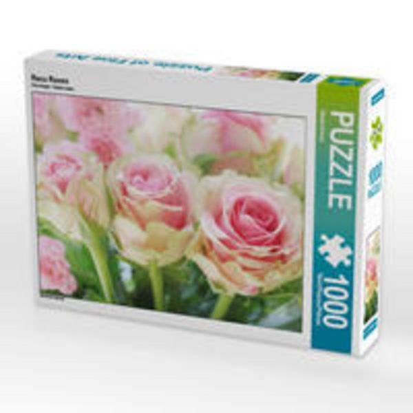 CALVENDO Puzzle Rosa Rosen 1000 Teile Lege-Größe 64 x 48 cm Foto-Puzzle Bild von Gisela Kruse Image