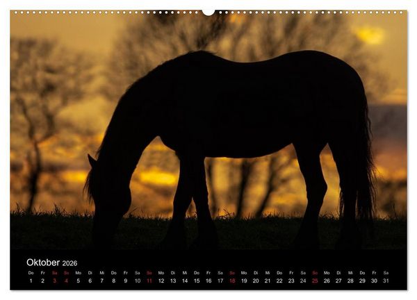 Produktbild: Friesen - Sch&ouml;nheit, Kraft und Eleganz (hochwertiger Premium Wandkalender 2026 DIN A2 quer), Kunstdruck in Hochglanz