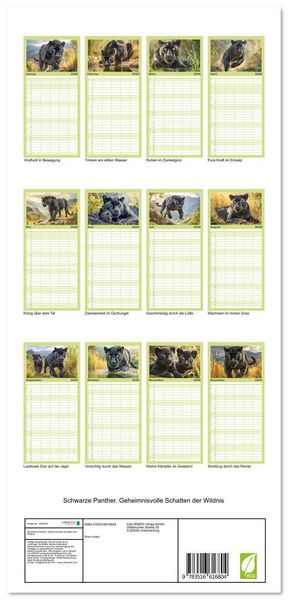 Produktbild: Familienplaner 2026 - Schwarze Panther. Geheimnisvolle Schatten der Wildnis mit 5 Spalten (Wandkalender, 21 x 45 cm) CALVENDO