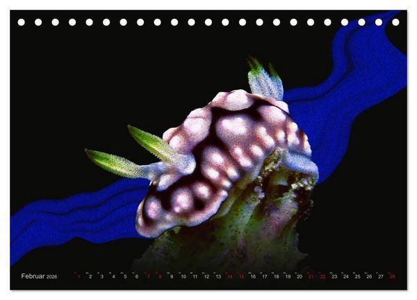Produktbild: Artwork Unterwasser - Erlebnis Tauchen (Tischkalender 2026 DIN A5 quer), CALVENDO Monatskalender