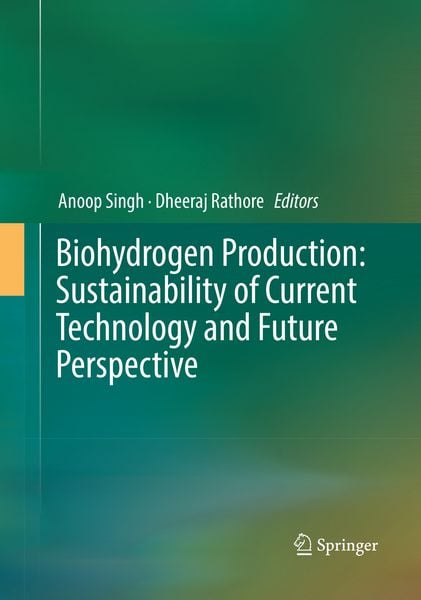 Produktbild: Biohydrogen Production: Sustainability of Current Technology and Future Perspective
