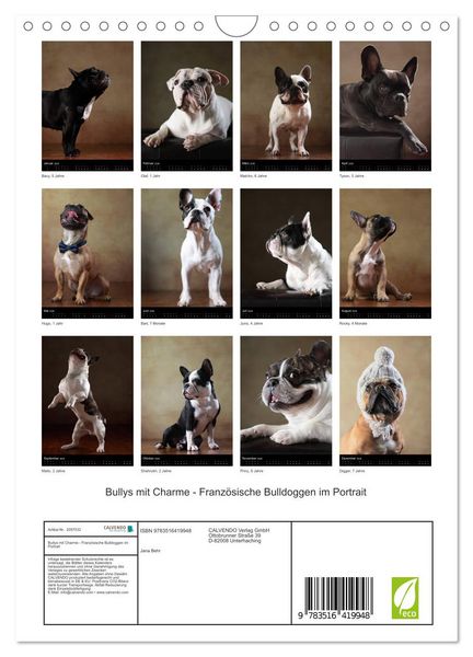 Produktbild: Bullys mit Charme - Franz&ouml;sische Bulldoggen im Portrait (Wandkalender 2026 DIN A4 hoch), CALVENDO Monatskalender