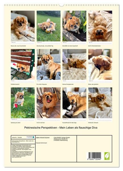 Produktbild: Pekinesische Perspektiven - Mein Leben als flauschige Diva (hochwertiger Premium Wandkalender 2026 DIN A2 hoch), Kunstdruck in Hochglanz