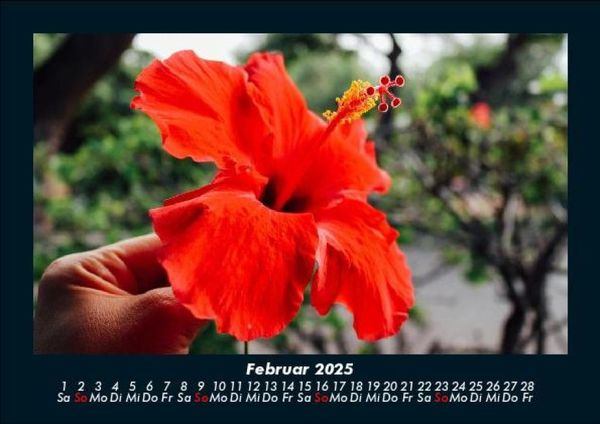 Produktbild: Blumentr&auml;ume 2025 Fotokalender DIN A5