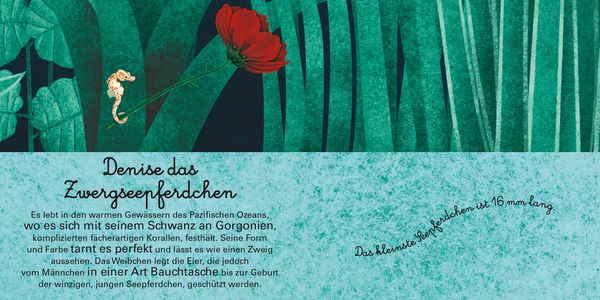 Produktbild: Das gro&szlig;e Buch der riesigen Tiere. Das kleine Buch der winzigen Tiere