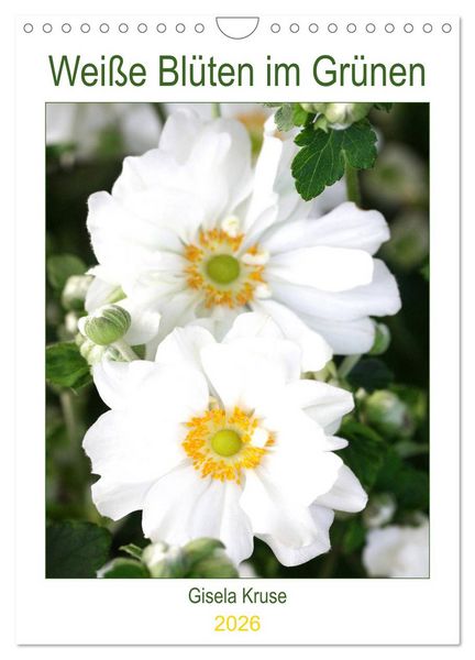 Produktbild: Wei&szlig;e Bl&uuml;ten im Gr&uuml;nen (Wandkalender 2026 DIN A4 hoch), CALVENDO Monatskalender
