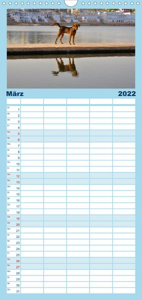 Produktbild: Familienplaner Hunde aus aller Welt (Wandkalender 2022 , 21 cm x 45 cm, hoch)