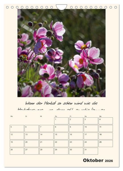 Produktbild: Gartengeschichten (Wandkalender 2026 DIN A4 hoch), CALVENDO Monatskalender