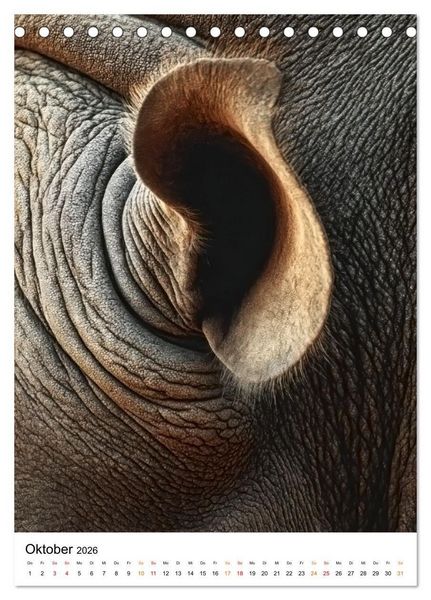 Produktbild: Nashorn - Stark. Stur. Schnell. (Tischkalender 2026 DIN A5 hoch), CALVENDO Monatskalender