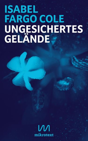 Produktbild: Ungesichertes Gel&auml;nde