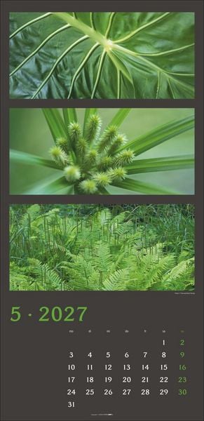 Produktbild: Die Farben der Natur Kalender 2027