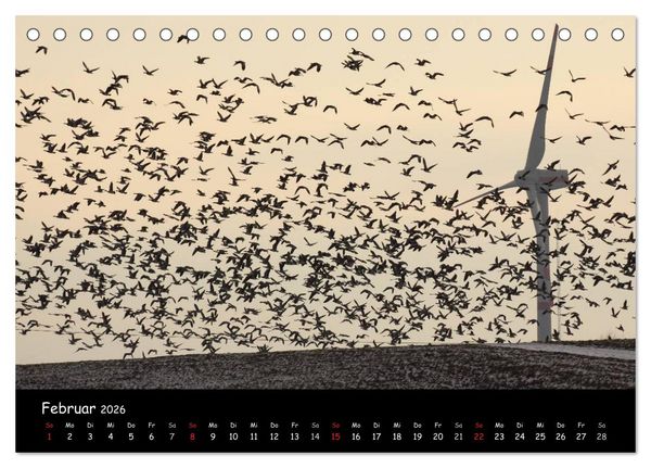 Produktbild: Schrei der Wildg&auml;nse (Tischkalender 2026 DIN A5 quer), CALVENDO Monatskalender