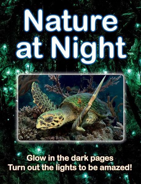Produktbild: Nature at Night