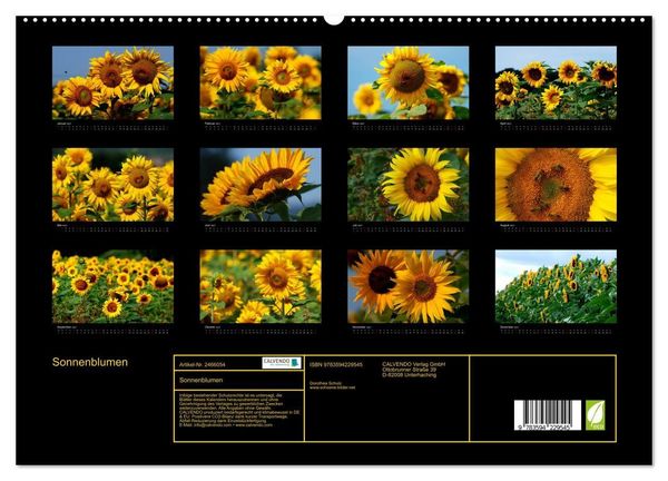 Produktbild: Sonnenblumen (hochwertiger Premium Wandkalender 2027 DIN A2 quer), Kunstdruck in Hochglanz