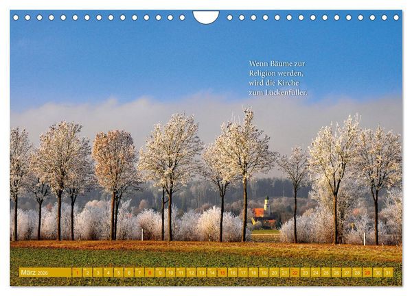 Produktbild: Rollentausch &ndash; Bebilderte Wortspielereien (Wandkalender 2026 DIN A4 quer), CALVENDO Monatskalender
