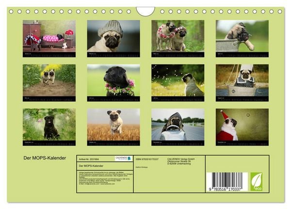 Produktbild: Der MOPS-Kalender (Wandkalender 2026 DIN A4 quer), CALVENDO Monatskalender