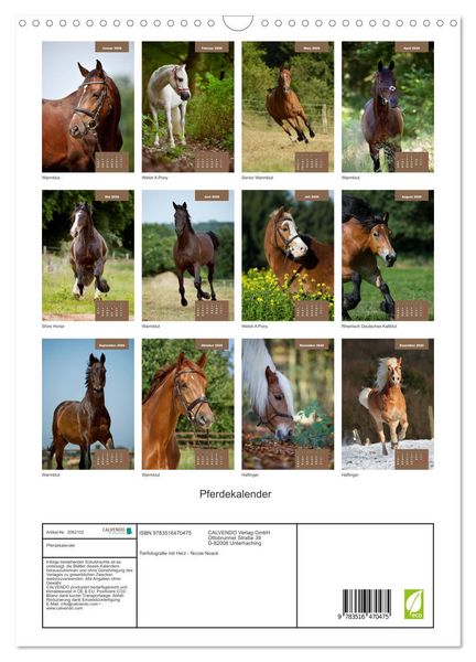Produktbild: Pferdekalender (Wandkalender 2026 DIN A3 hoch), CALVENDO Monatskalender