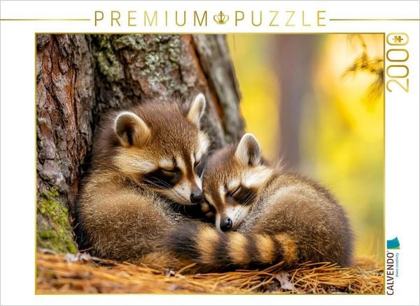 Produktbild: CALVENDO Puzzle Waschb&auml;ren | 2000 Teile Lege-Gr&ouml;&szlig;e 90x67cm Foto-Puzzle f&uuml;r gl&uuml;ckliche Stunden