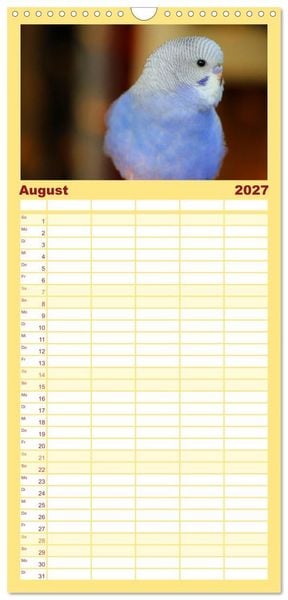 Produktbild: Familienplaner 2027 - Wellensittichkalender! - Das Original mit 5 Spalten (Wandkalender, 21 x 45 cm) CALVENDO