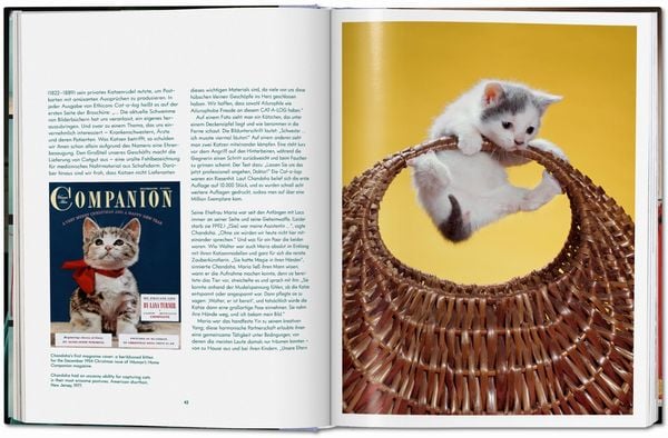 Produktbild: Walter Chandoha. Cats. Photographs 1942&ndash;2018