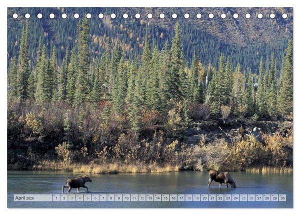 Produktbild: Wildes Alaska Christian Heeb (Tischkalender 2026 DIN A5 quer), CALVENDO Monatskalender