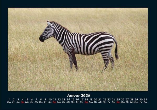 Produktbild: Zebrazauber 2026 Fotokalender DIN A4