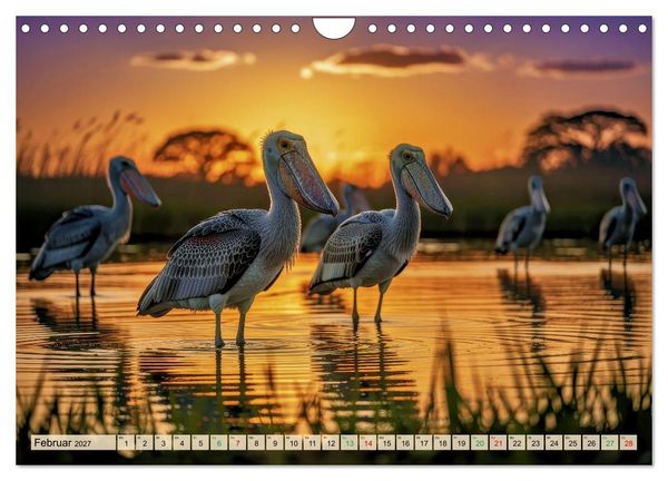 Produktbild: Schuhschnabel Vogel (Wandkalender 2027 DIN A4 quer), CALVENDO Monatskalender