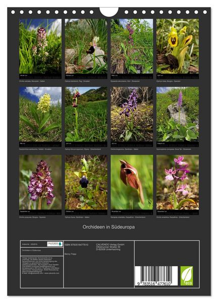 Produktbild: Orchideen in S&uuml;deuropa (Wandkalender 2026 DIN A4 hoch), CALVENDO Monatskalender
