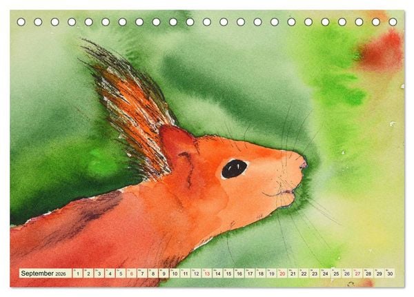 Produktbild: Eichh&ouml;rnchen in Aquarell (Tischkalender 2026 DIN A5 quer), CALVENDO Monatskalender