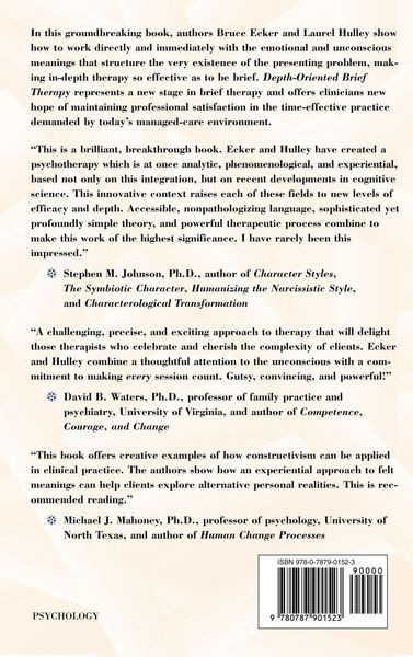 Produktbild: Depth Oriented Brief Therapy