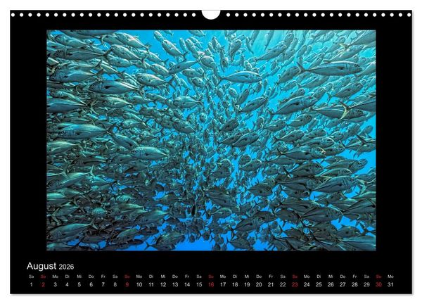 Produktbild: OCEAN - ART (Wandkalender 2026 DIN A3 quer), CALVENDO Monatskalender