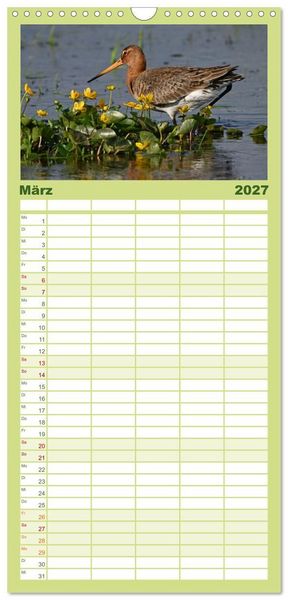 Produktbild: Familienplaner 2027 - Die bedrohten Uferschnepfen mit 5 Spalten (Wandkalender, 21 x 45 cm) CALVENDO