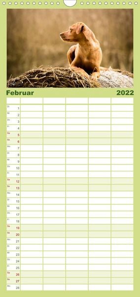 Produktbild: Familienplaner Labrador Trio - 3 Farben, 3 Freunde (Wandkalender 2022 , 21 cm x 45 cm, hoch)