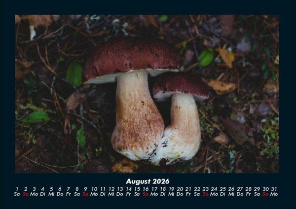 Produktbild: Pilzkalender 2026 Fotokalender DIN A4