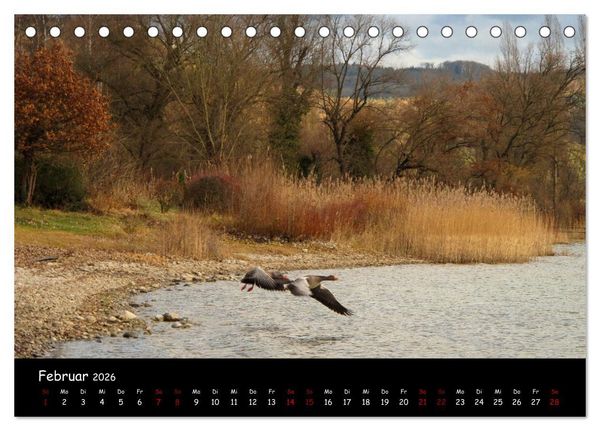 Produktbild: Traumhaft sch&ouml;ner Bodensee (Tischkalender 2026 DIN A5 quer), CALVENDO Monatskalender