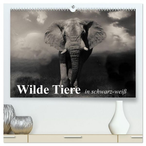 Produktbild: Wilde Tiere in schwarz-wei&szlig; (hochwertiger Premium Wandkalender 2026 DIN A2 quer), Kunstdruck in Hochglanz