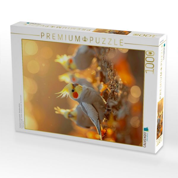 Produktbild: CALVENDO Puzzle Fr&uuml;hst&uuml;ck im Sonnenlicht - Nymphensittiche | 1000 Teile Lege-Gr&ouml;&szlig;e 64x48cm Foto-Puzzle f&uuml;r gl&uuml;ckliche Stunden
