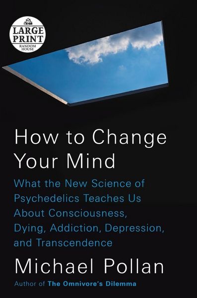 Produktbild: How to Change Your Mind