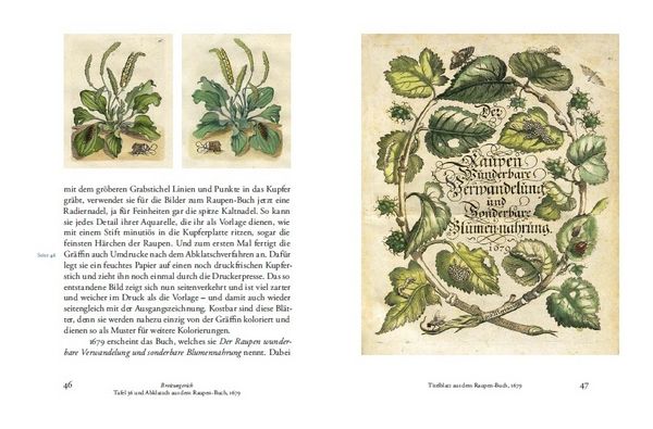 Produktbild: Maria Sibylla Merians Reise zu den Schmetterlingen