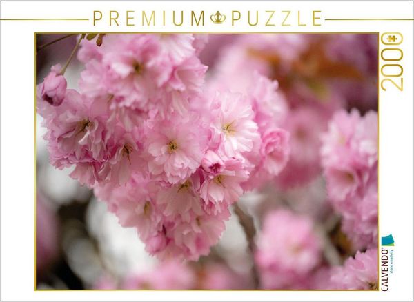 CALVENDO Puzzle PonPons | 2000 Teile Lege-Größe 90x67cm Foto-Puzzle für glückliche Stunden