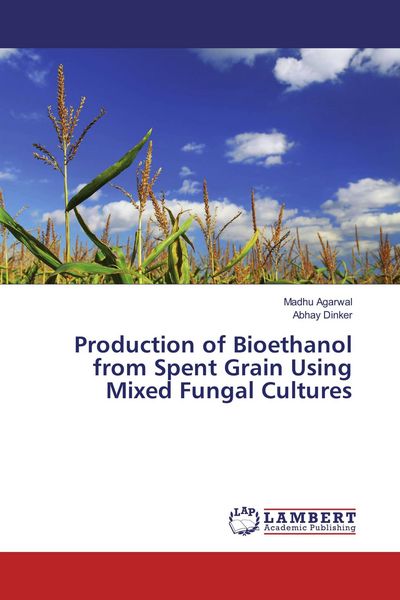 Produktbild: Production of Bioethanol from Spent Grain Using Mixed Fungal Cultures
