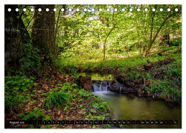 Produktbild: Wege des einfachen Gl&uuml;cks - Spazierg&auml;nge im Wald (Tischkalender 2026 DIN A5 quer), CALVENDO Monatskalender