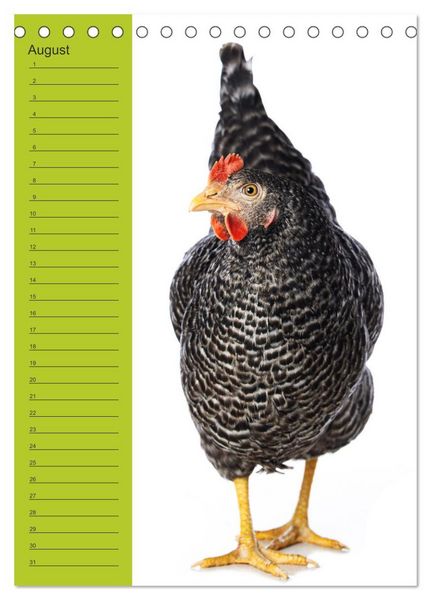 Produktbild: Kunterbunte H&uuml;hner Truppe (Tischkalender 2026 DIN A5 hoch), CALVENDO Monatskalender