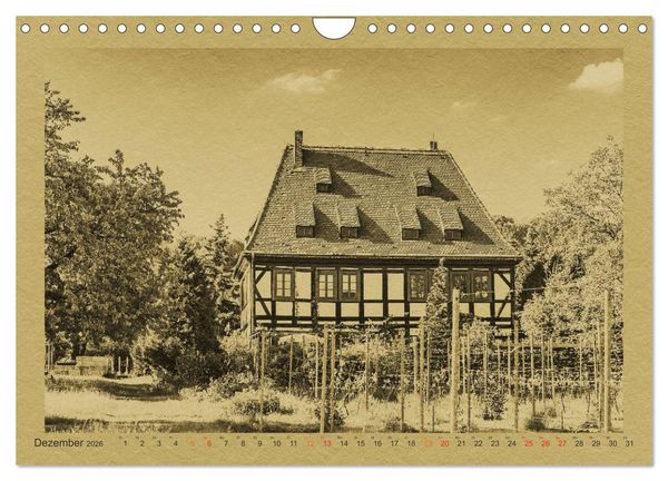 Produktbild: Radebeul - Ein Kalender im Zeitungsstil (Wandkalender 2026 DIN A4 quer), CALVENDO Monatskalender