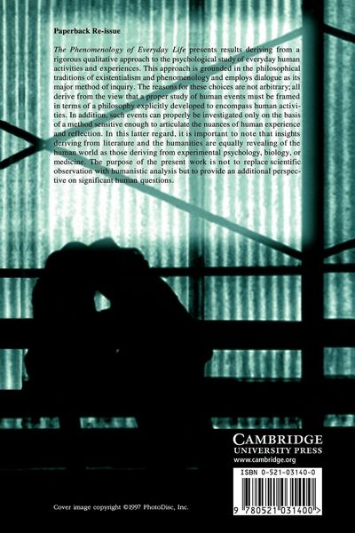 Produktbild: The Phenomenology of Everyday Life