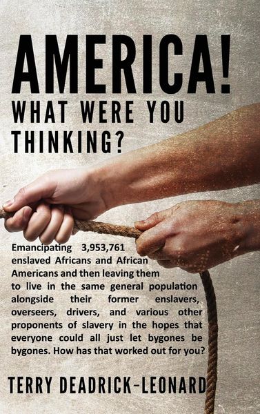 Produktbild: America! What Were You Thinking?